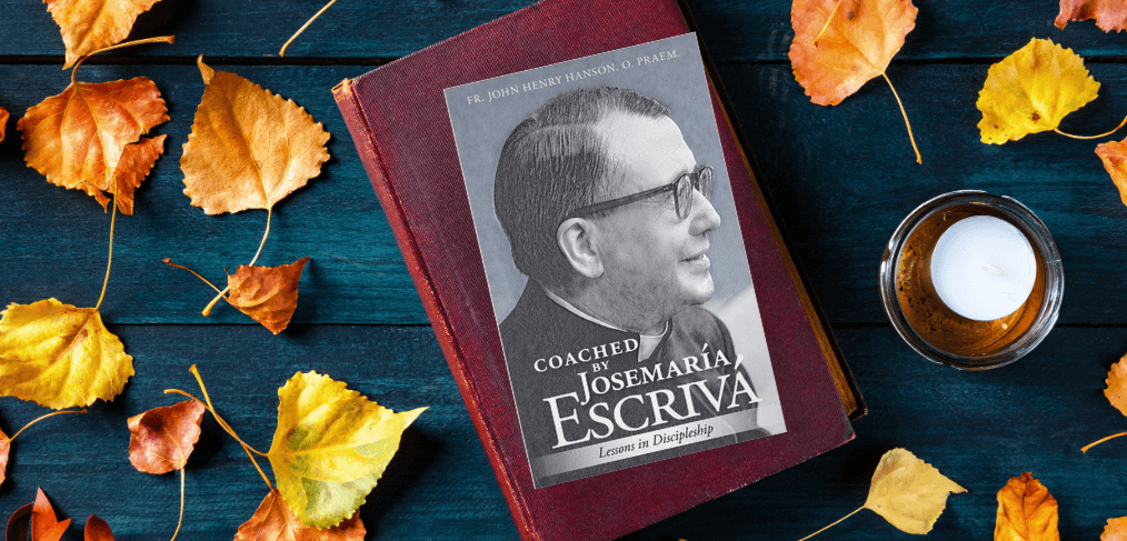 Coached by SJE Article