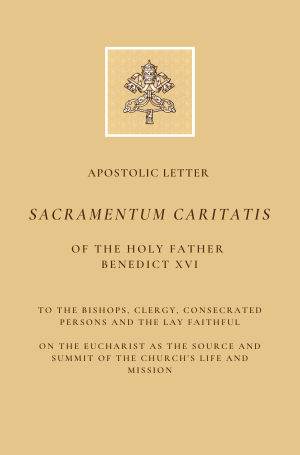 February BOTM WordPress