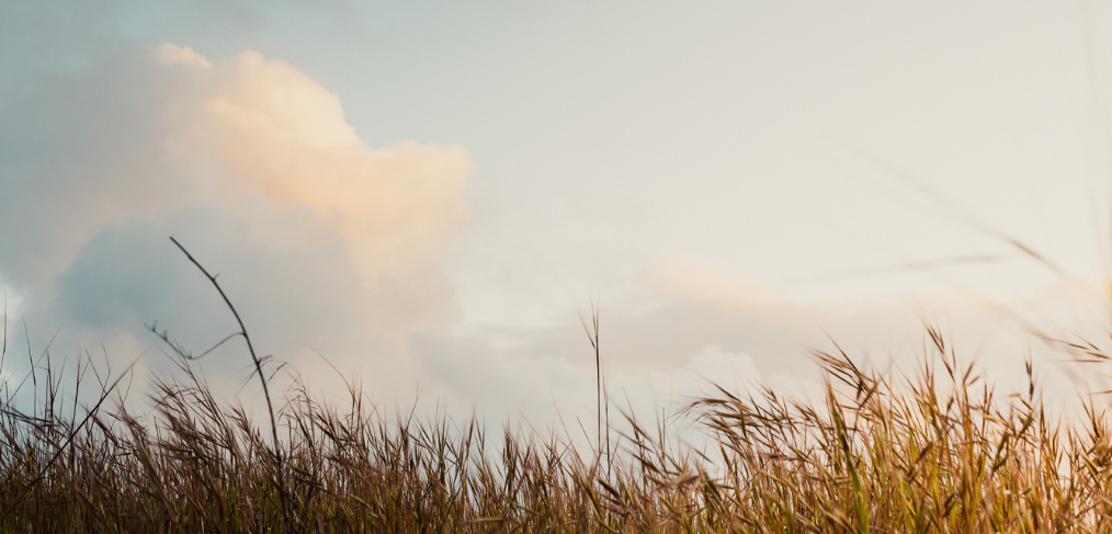 Spiritual Retreats (2)