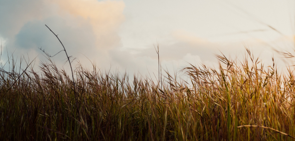 Spiritual Retreats (3)